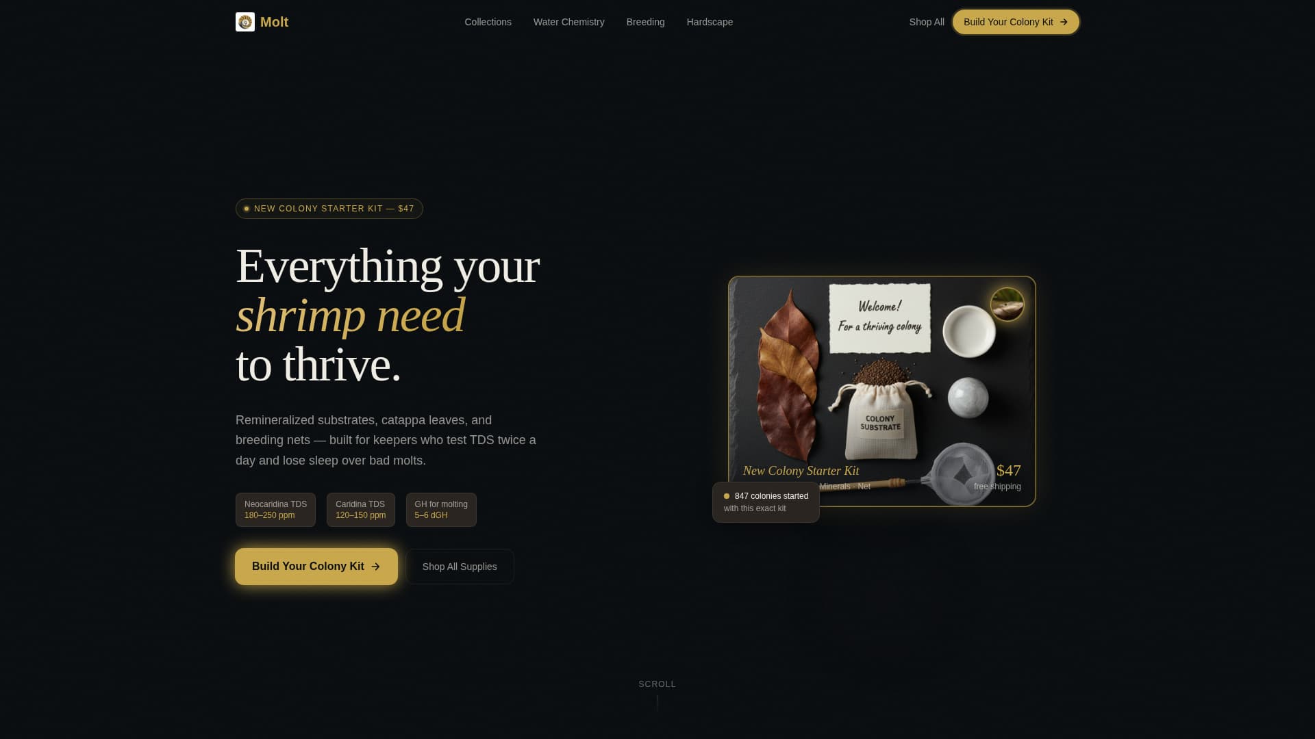Certified Hobby & Passion Supplies Portfolio & Case Study Website Template