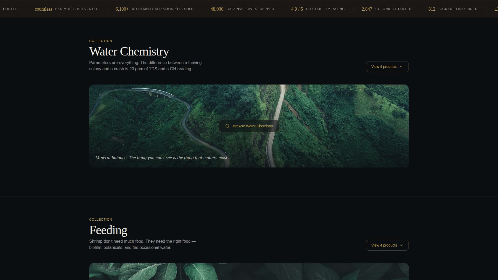 Certified Hobby & Passion Supplies Portfolio & Case Study Website Template