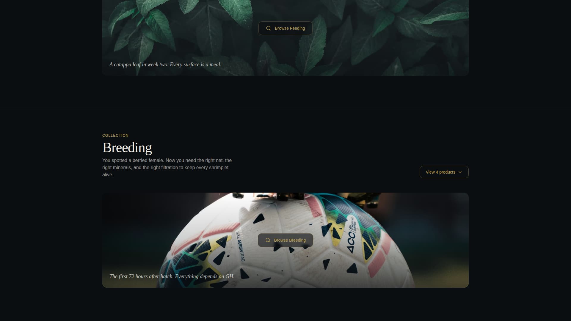 Certified Hobby & Passion Supplies Portfolio & Case Study Website Template