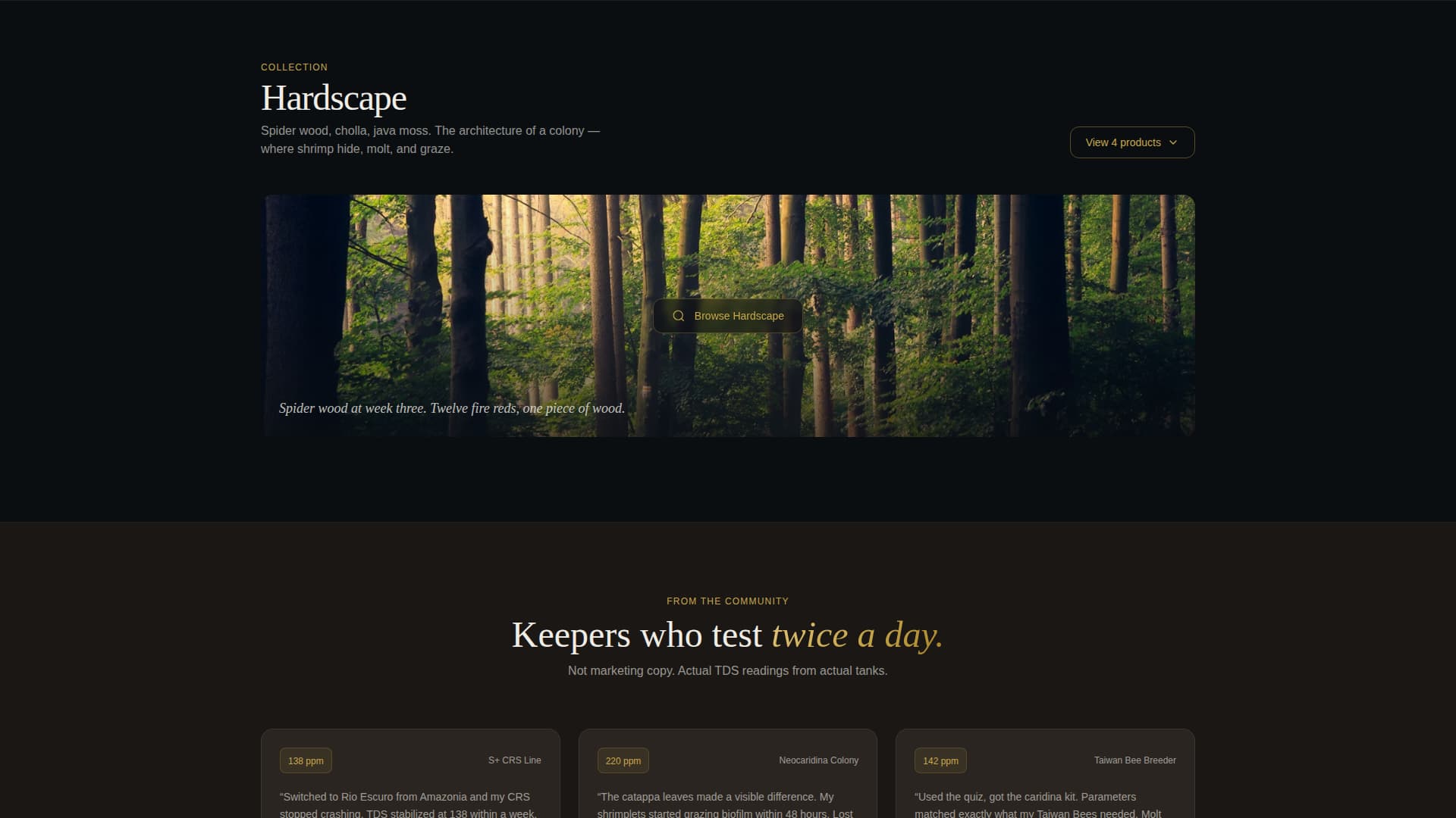 Certified Hobby & Passion Supplies Portfolio & Case Study Website Template