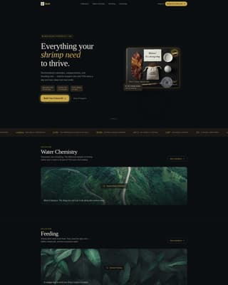 Certified Hobby & Passion Supplies Portfolio & Case Study Website Template