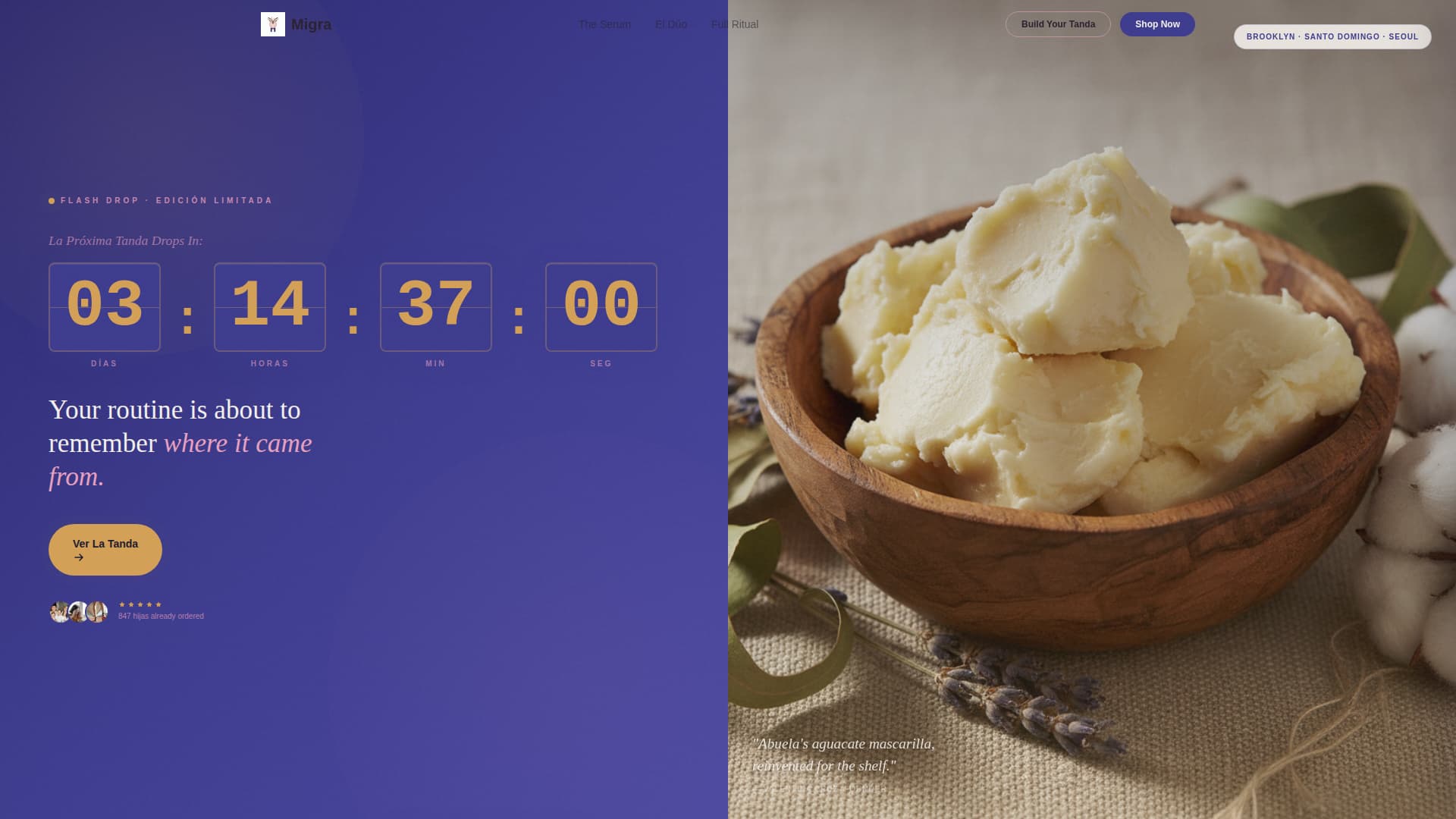 Specialist Immigrant-Owned Business Pre-Launch & Coming Soon Website Template
