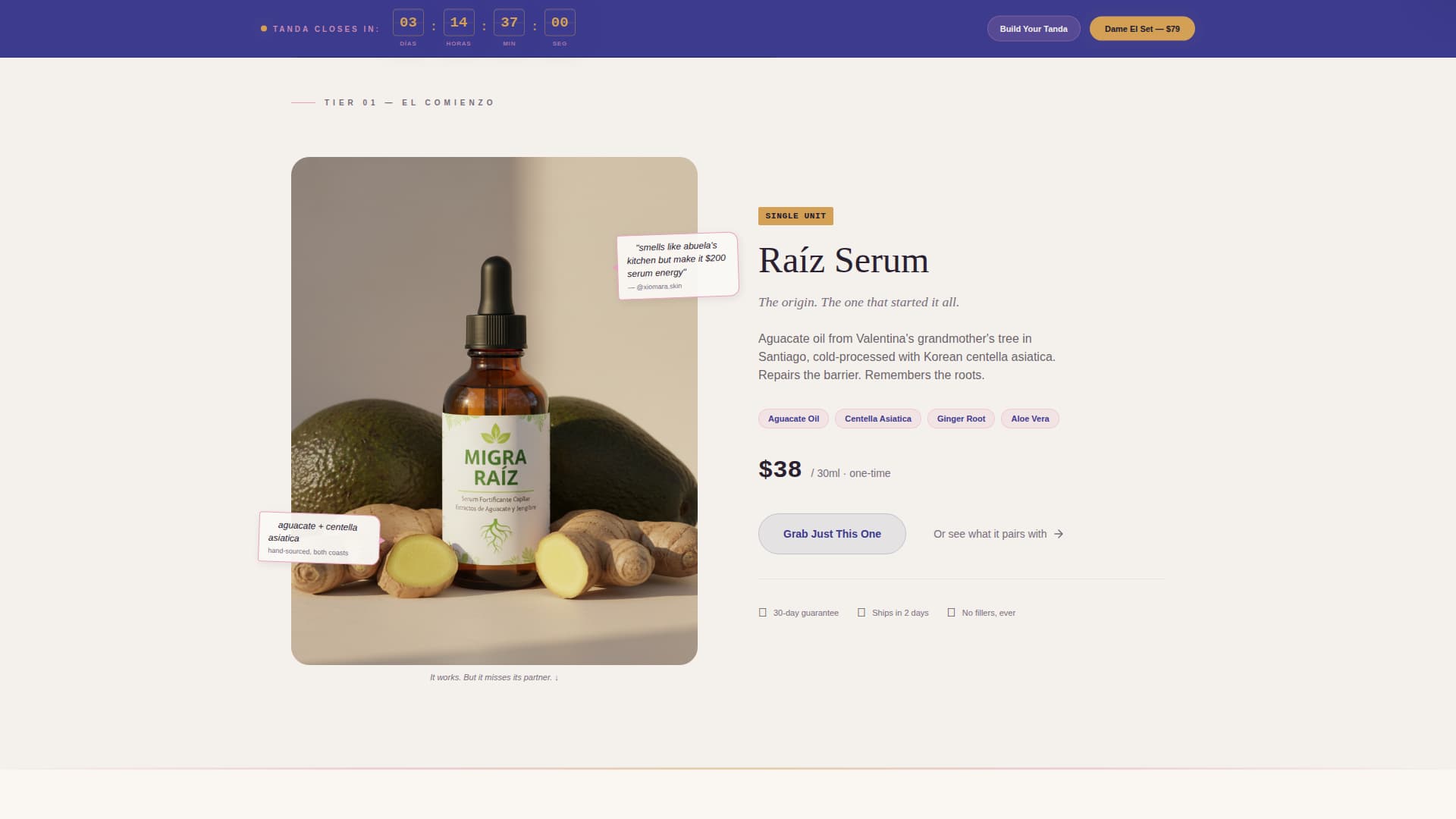 Specialist Immigrant-Owned Business Pre-Launch & Coming Soon Website Template