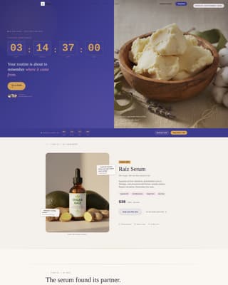 Specialist Immigrant-Owned Business Pre-Launch & Coming Soon Website Template