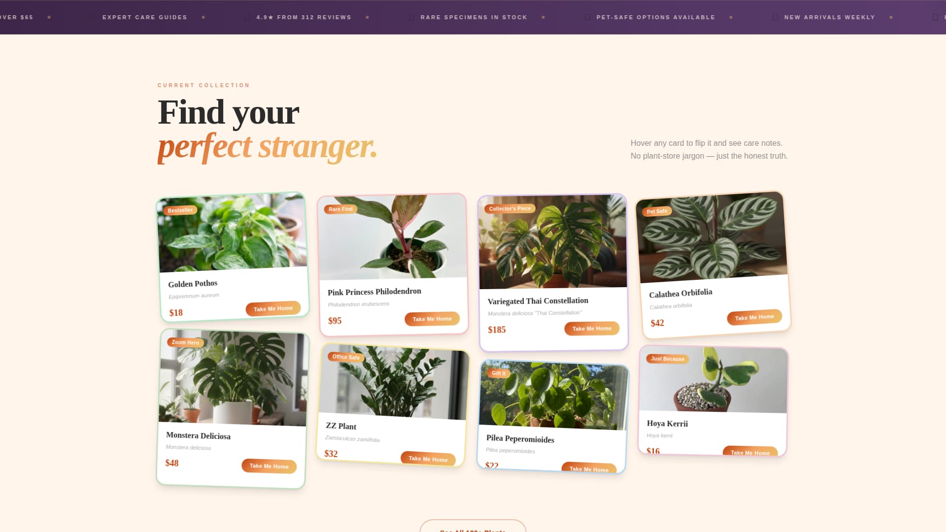 Florist & Plant Shop Professional Website Template