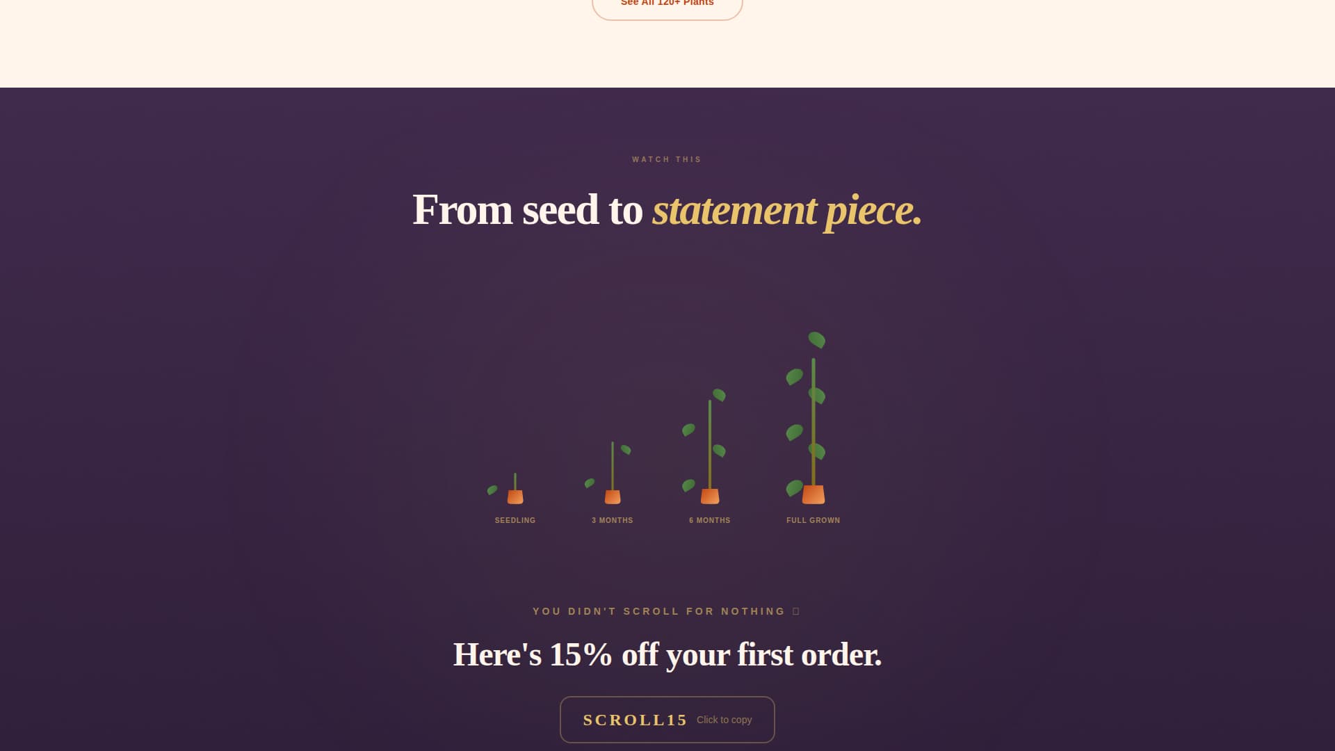 Florist & Plant Shop Professional Website Template