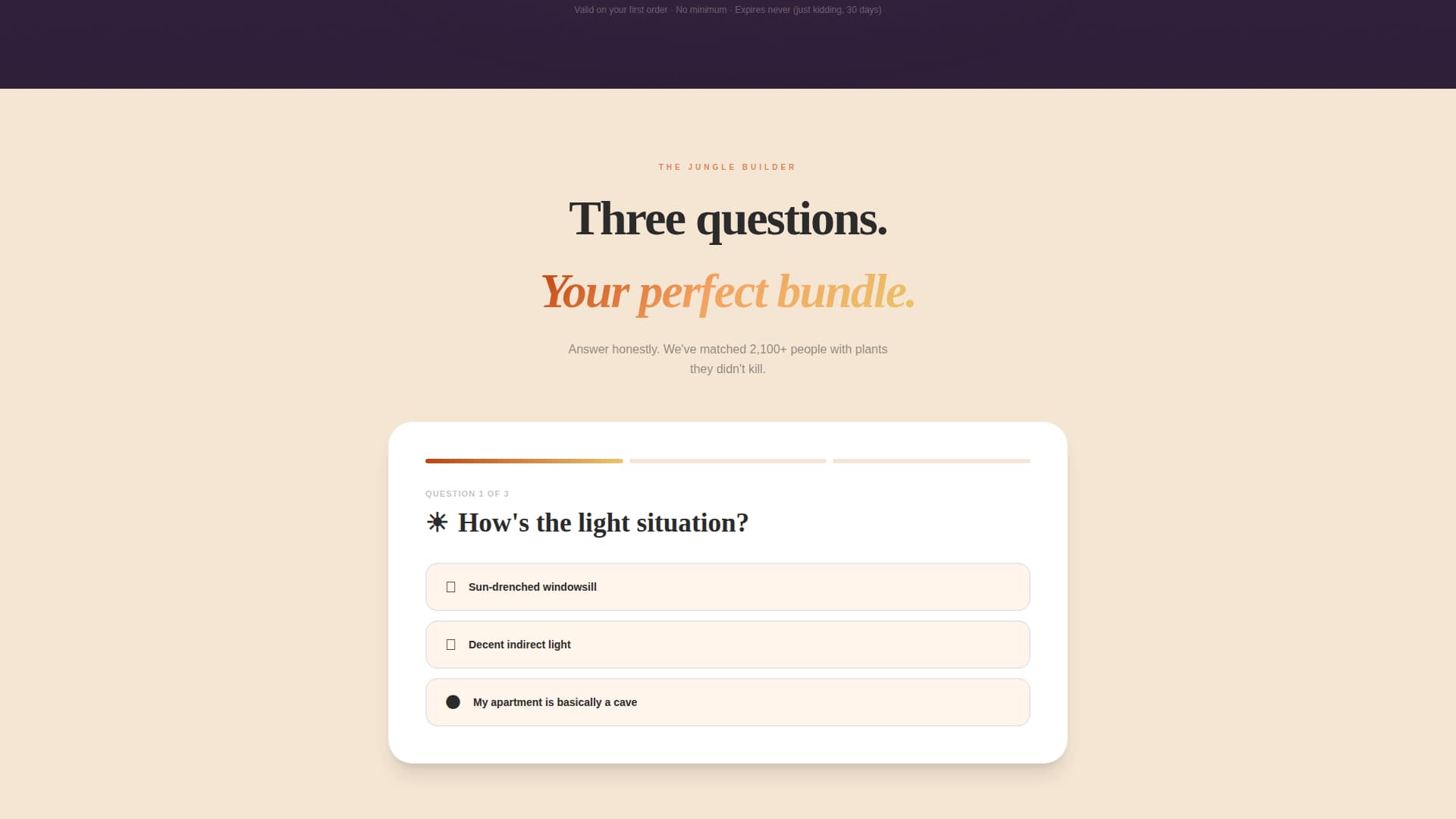 Florist & Plant Shop Professional Website Template