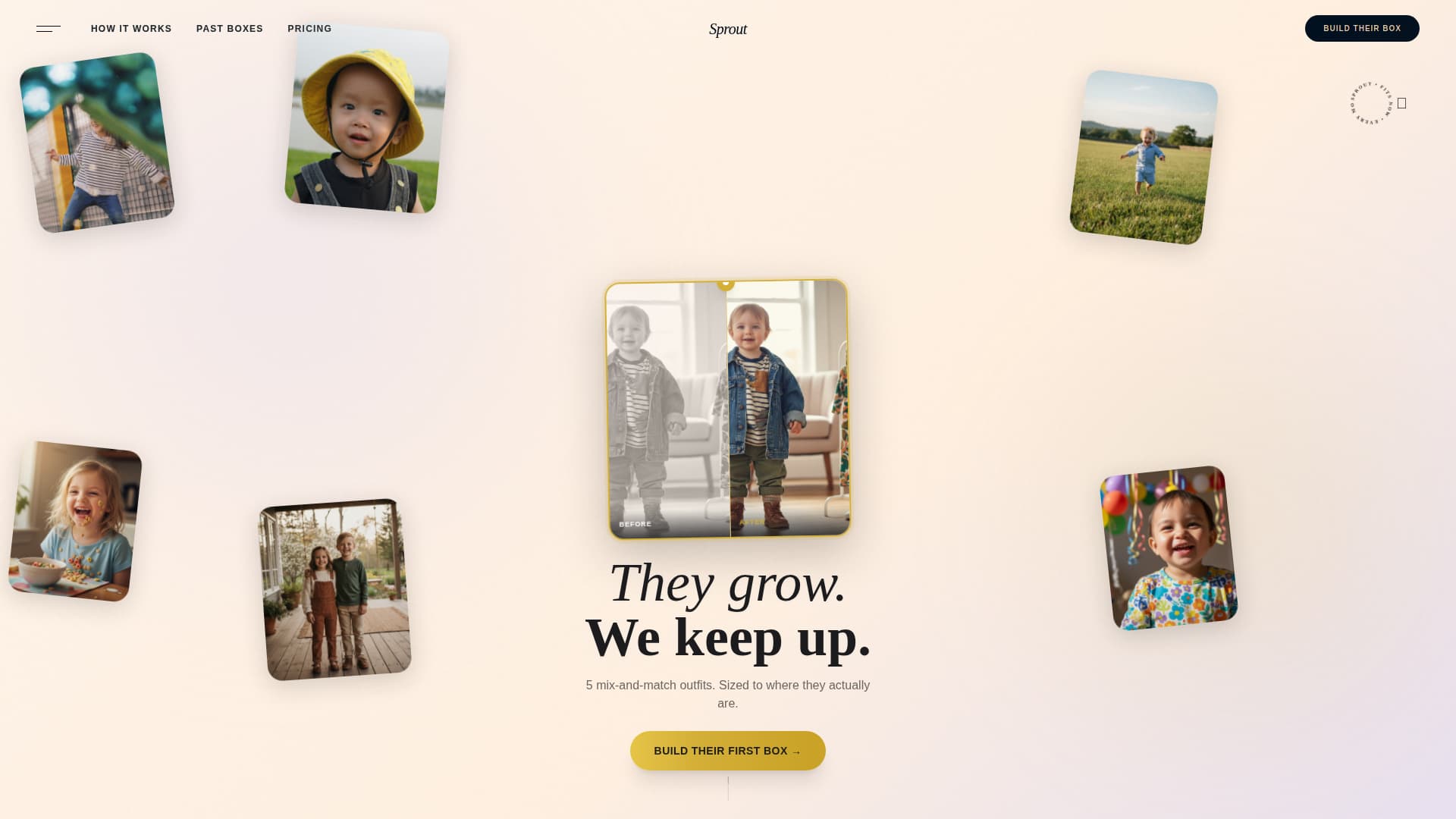 Subscription Box Services Professional Website Template