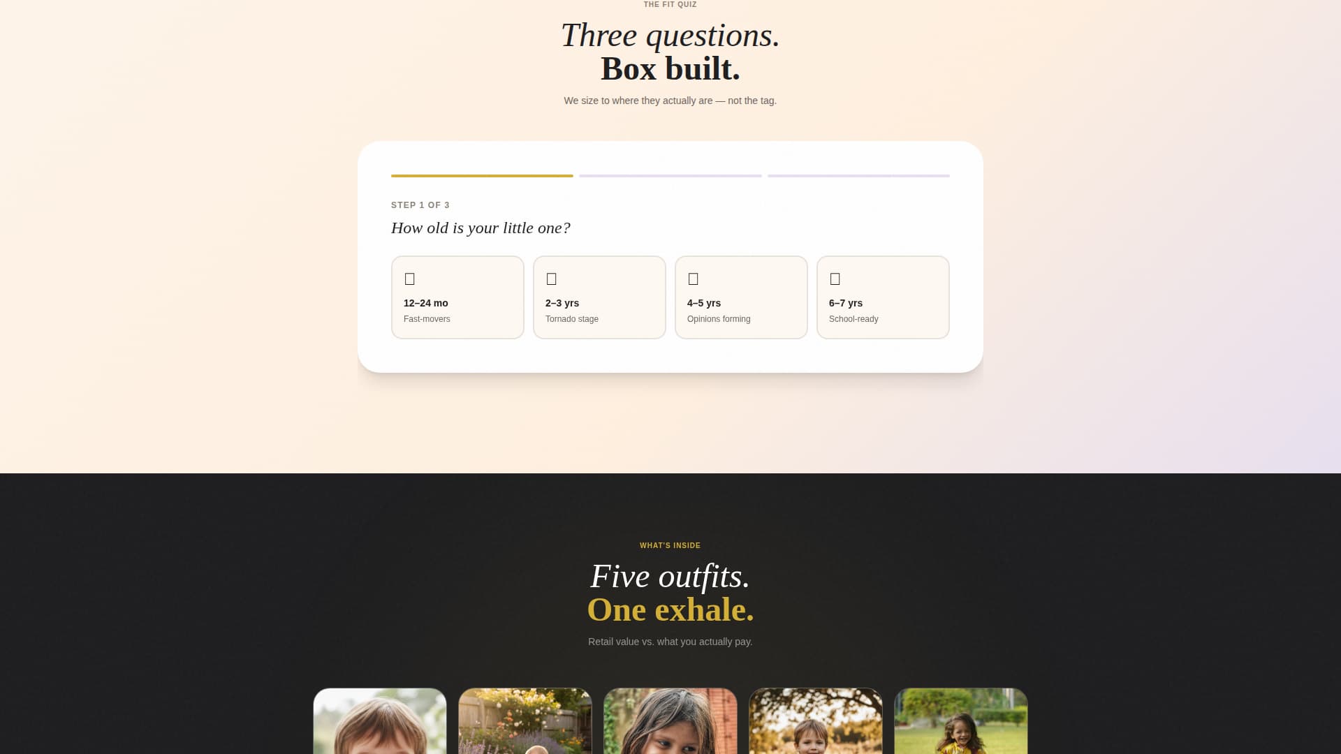 Subscription Box Services Professional Website Template