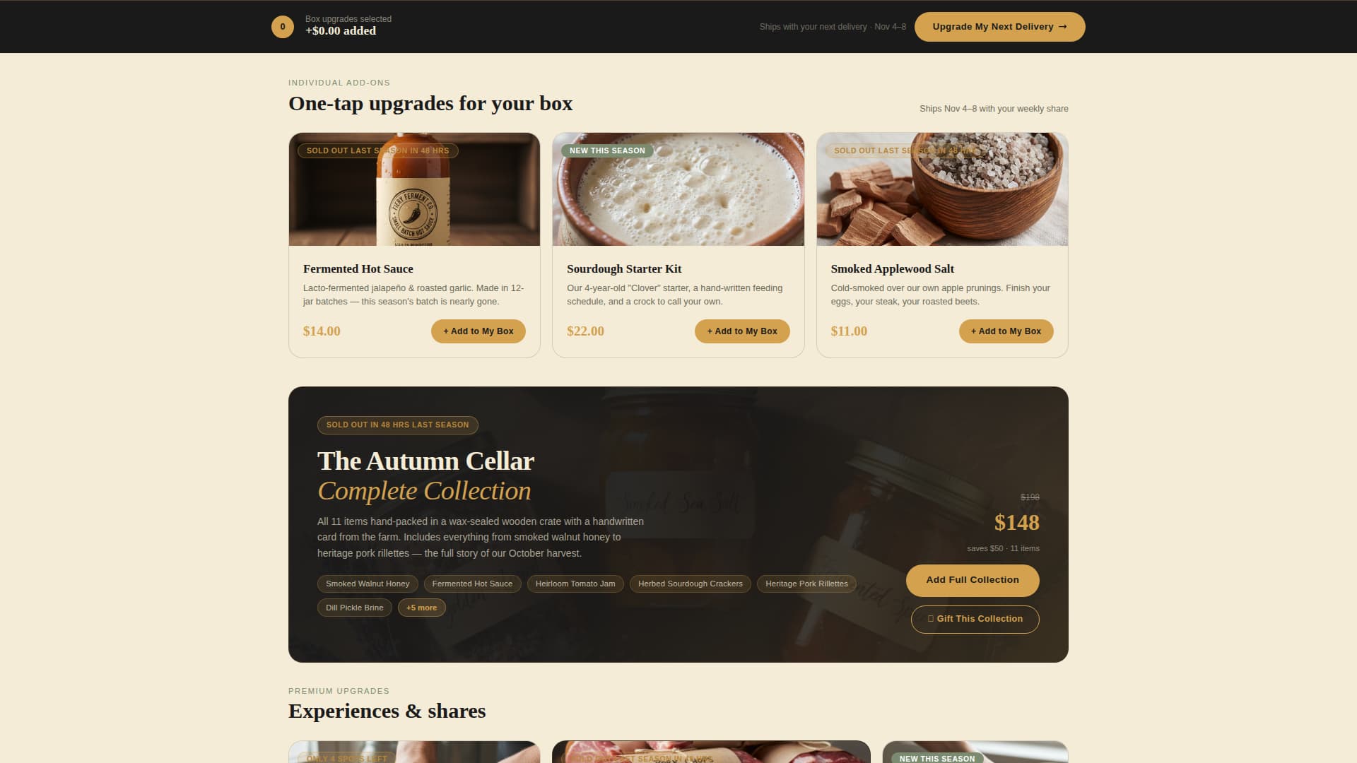 LGBTQ+-Owned Business Pre-Launch & Coming Soon Website Template