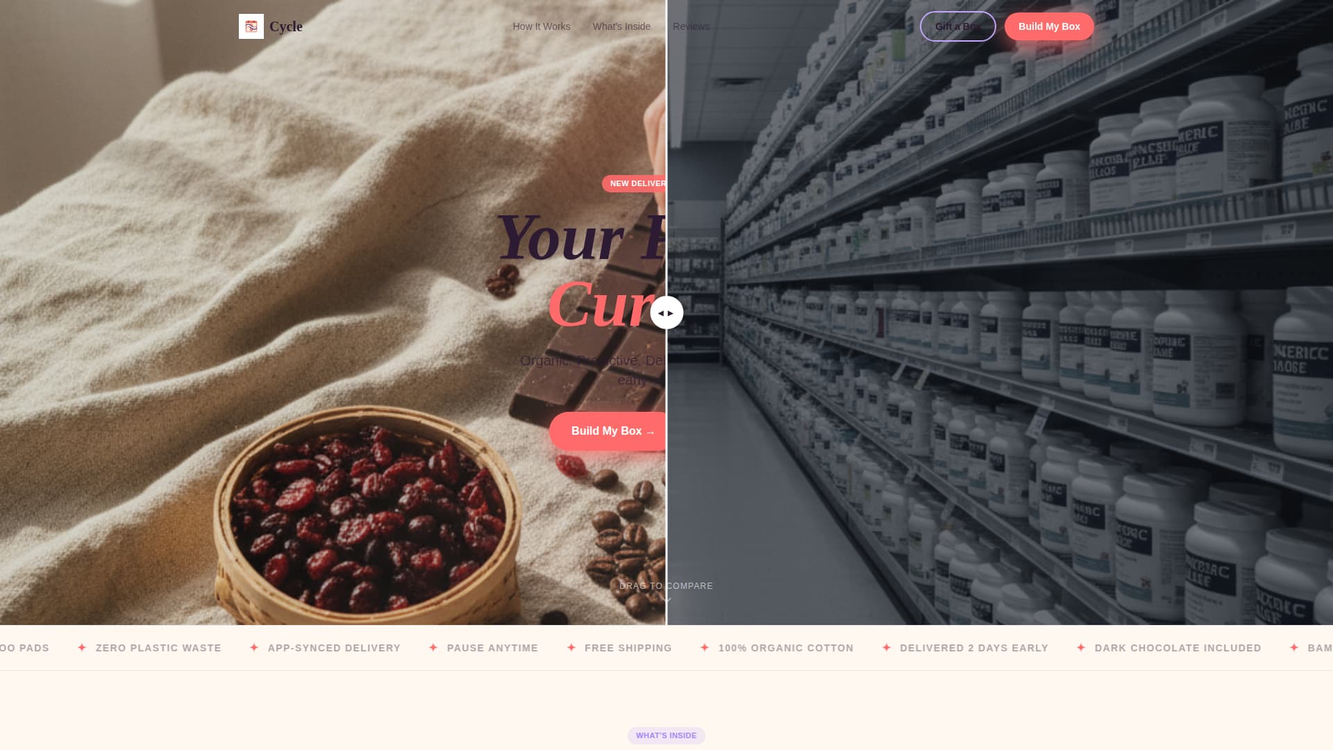 Subscription Box Services Professional Website Template