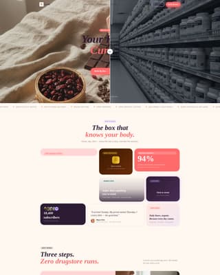 Subscription Box Services Professional Website Template