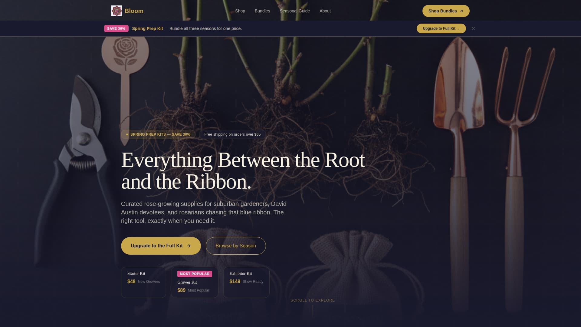 Hobby & Passion Supplies Professional Website Template
