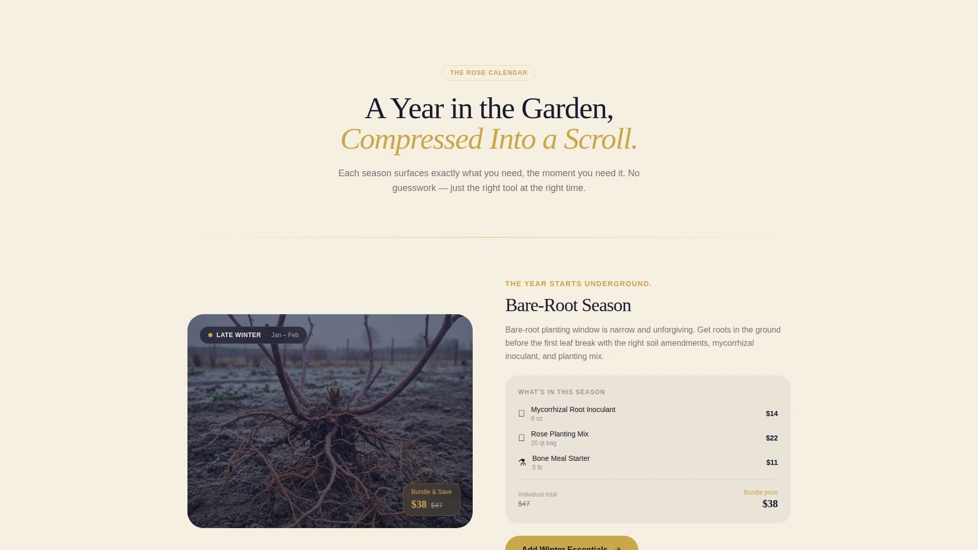 Hobby & Passion Supplies Professional Website Template