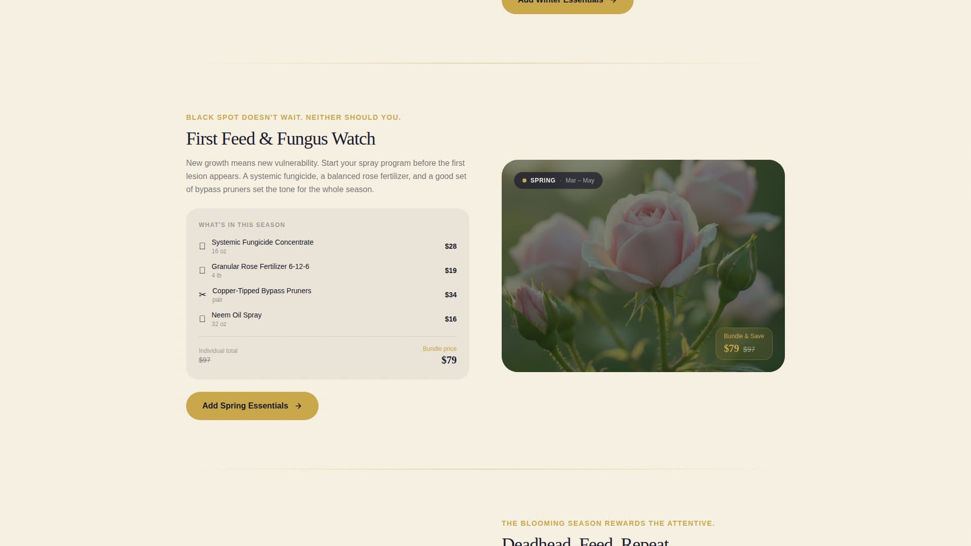 Hobby & Passion Supplies Professional Website Template