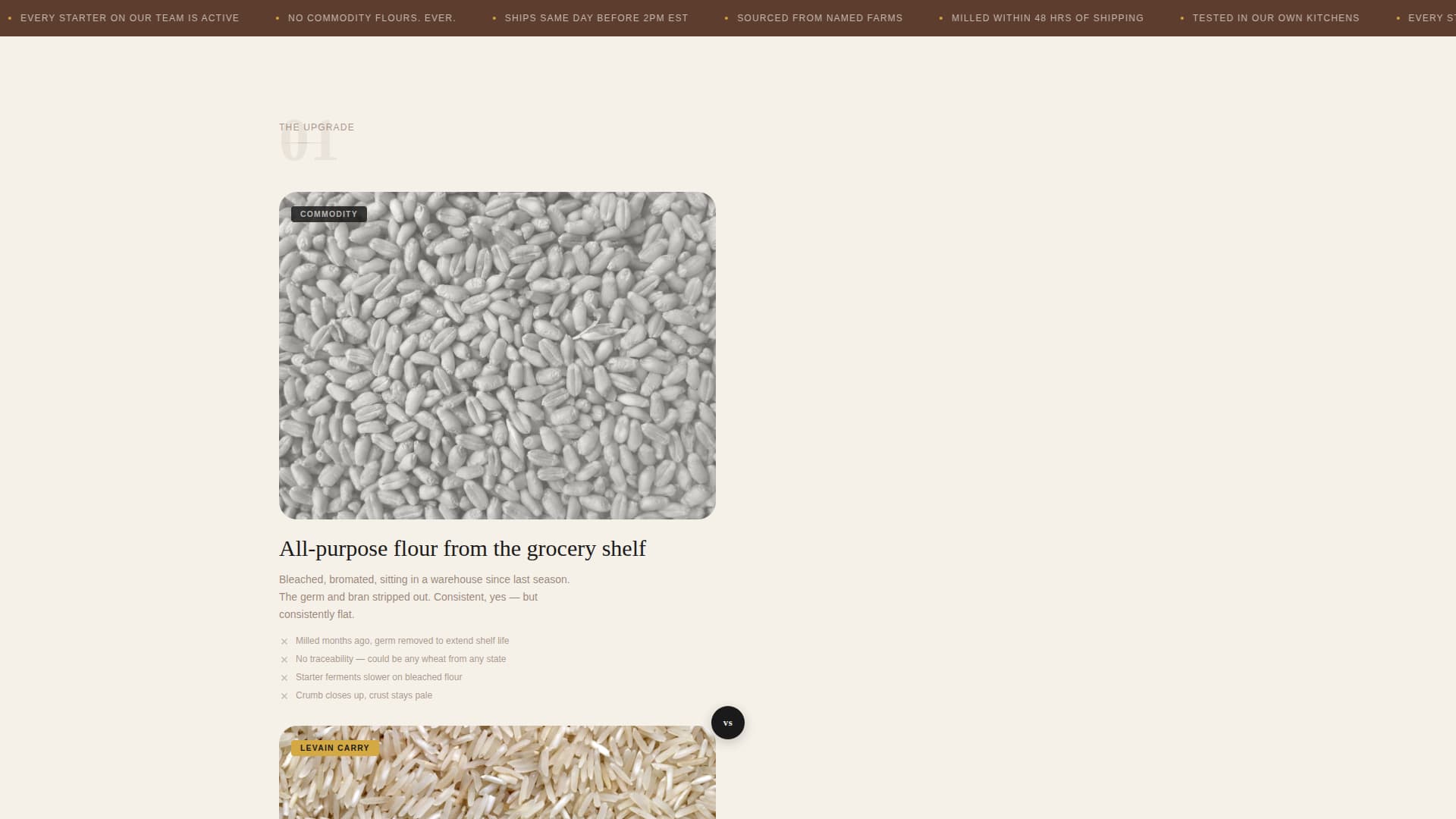Hobby & Passion Supplies Pre-Launch & Coming Soon Website Template