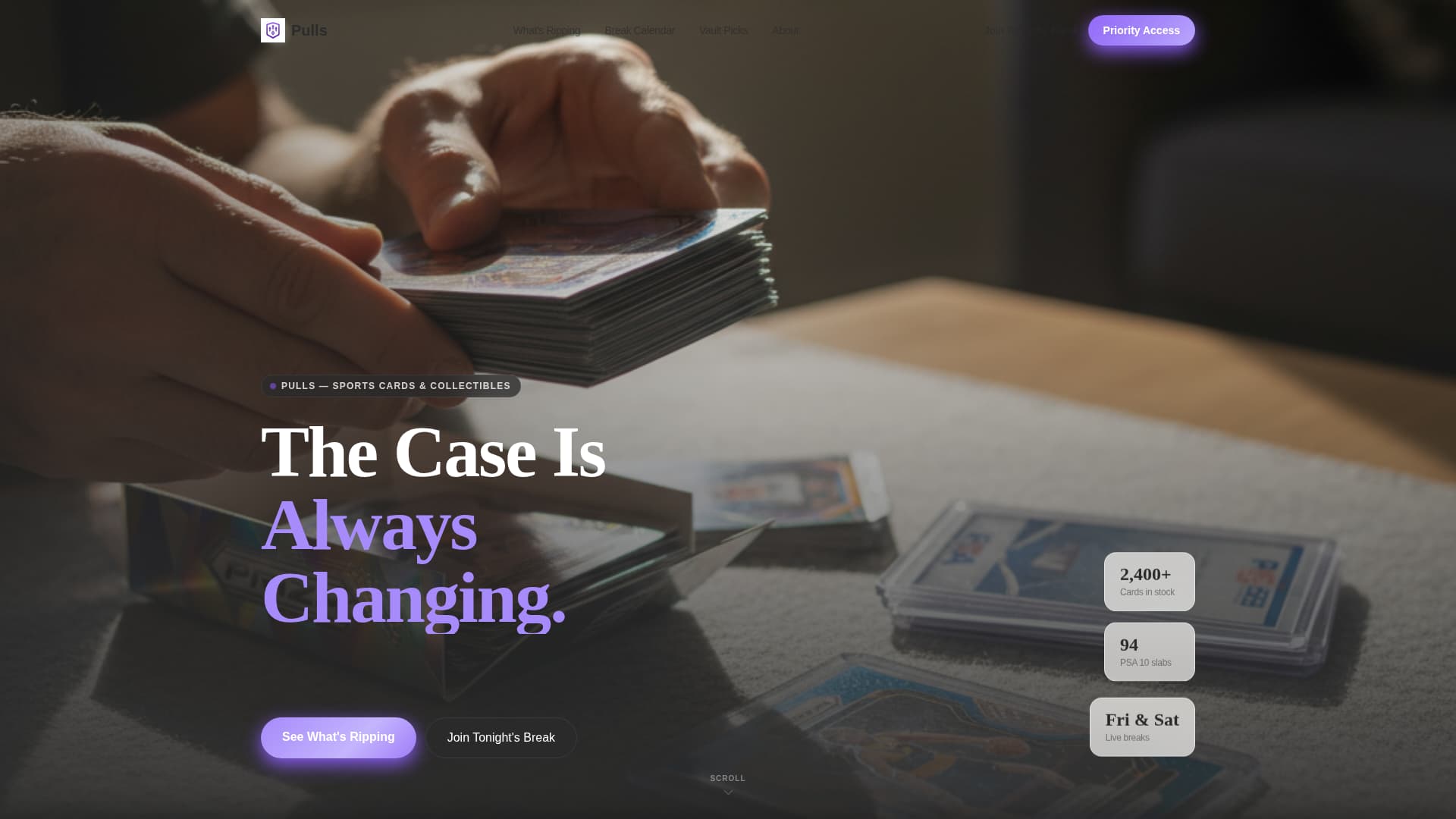 Complete Local Brick & Mortar Business Portfolio & Case Study Website Template