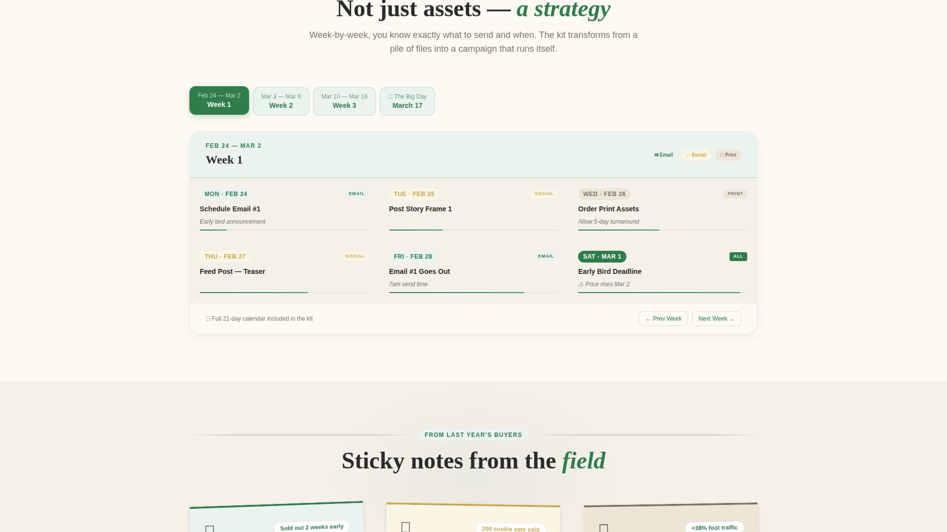 Advanced St. Patrick's Day Business Professional Website Template