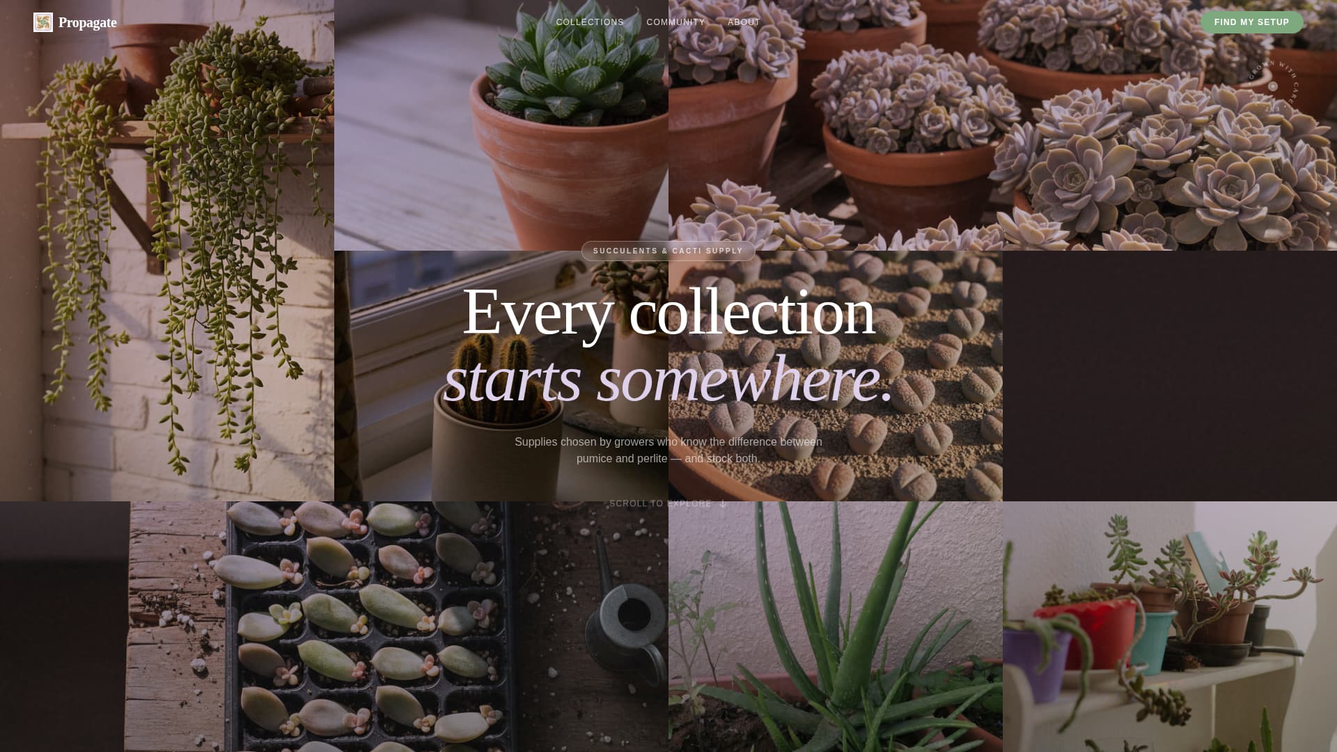 Hobby & Passion Supplies Professional Website Template