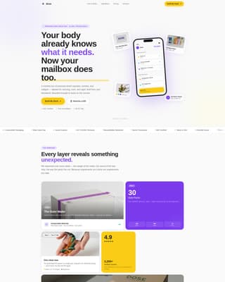 Subscription Box Services Professional Website Template
