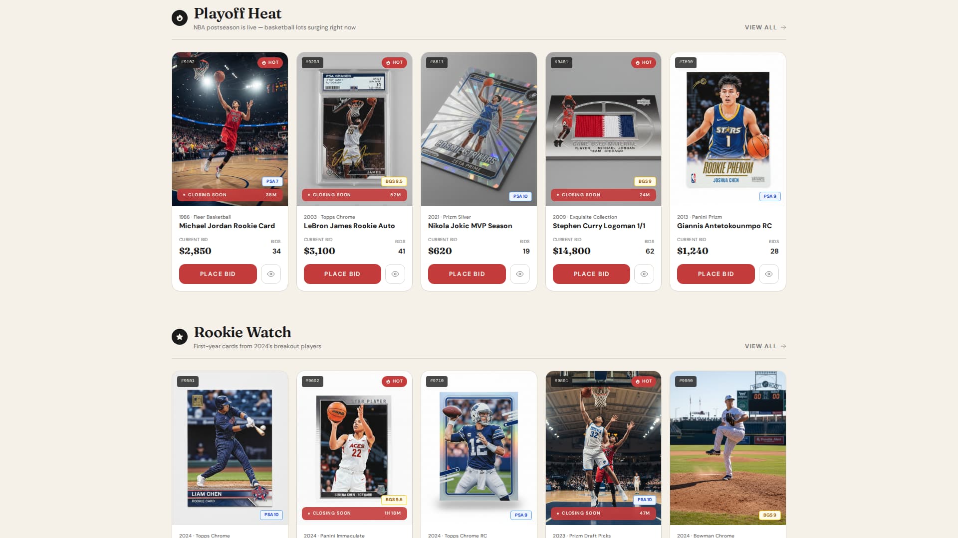 Premium Auction Platforms & Types Professional Website Template