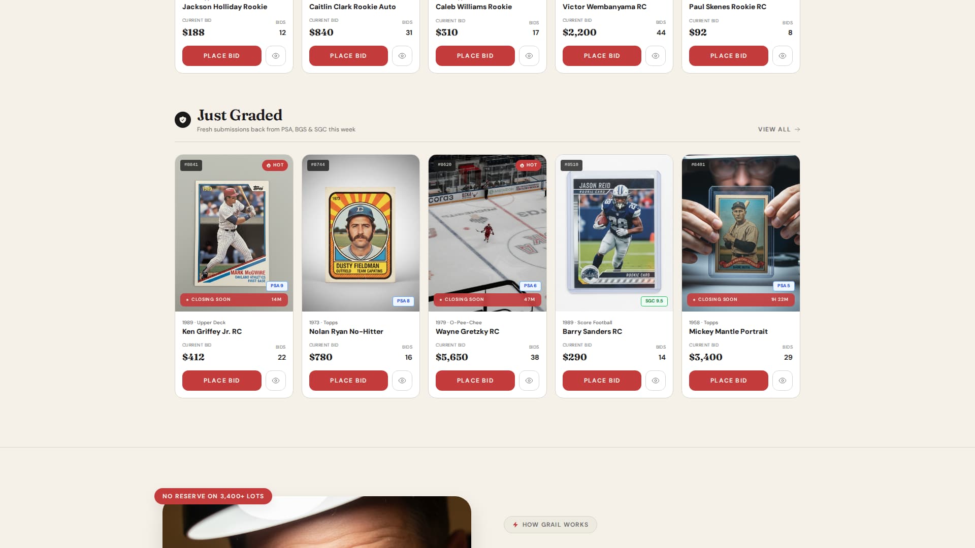 Premium Auction Platforms & Types Professional Website Template