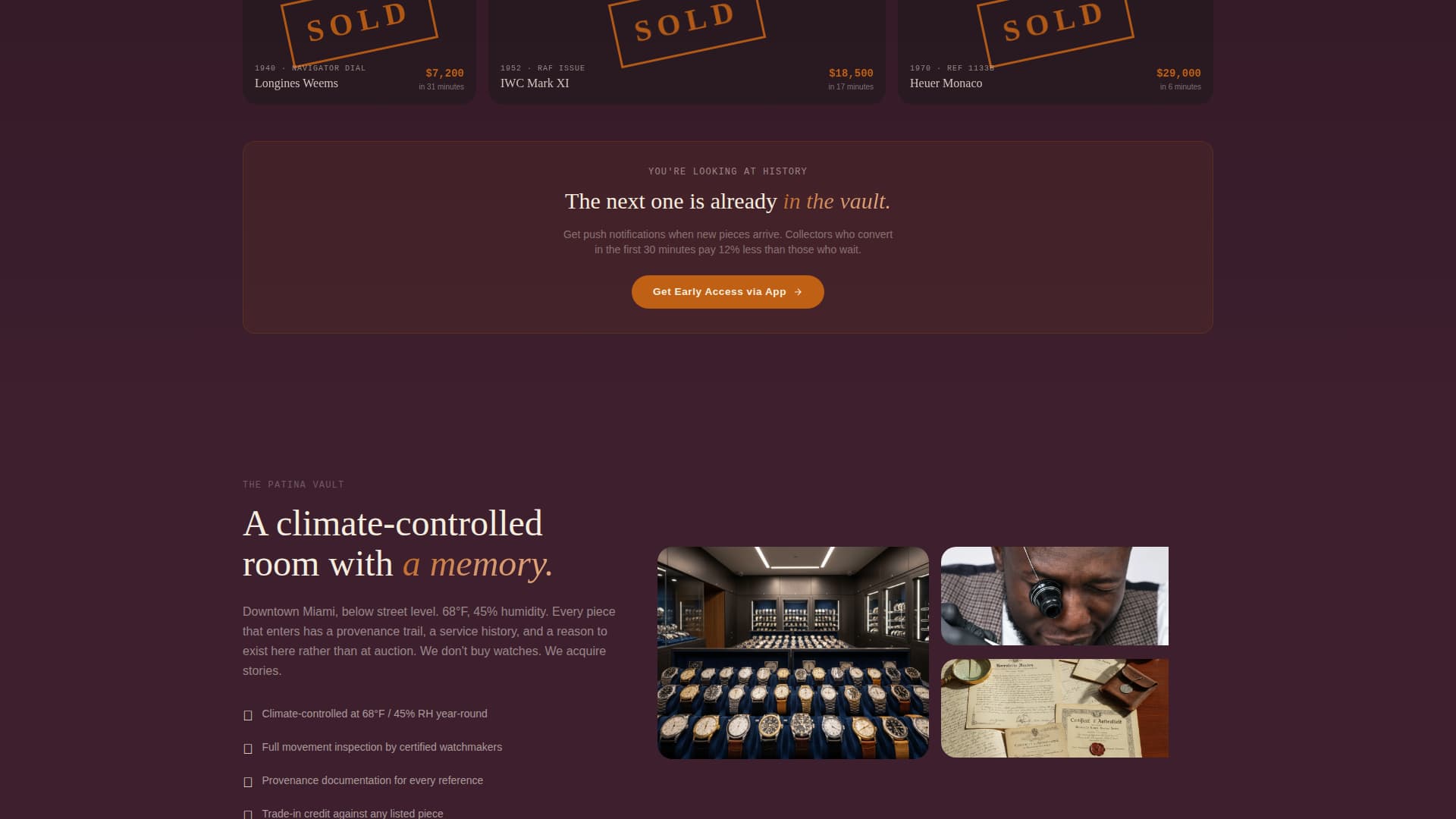 Patina - Rare Vintagewatch Landing Page Template