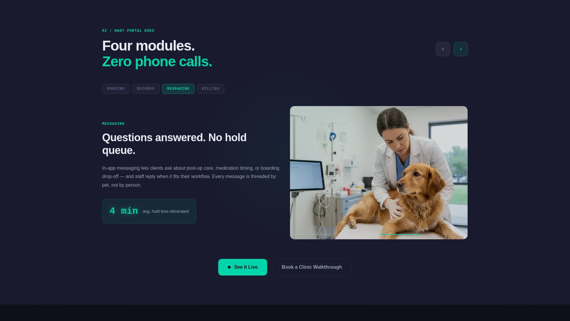 Pet Care Digital Presence Comparison Website Template