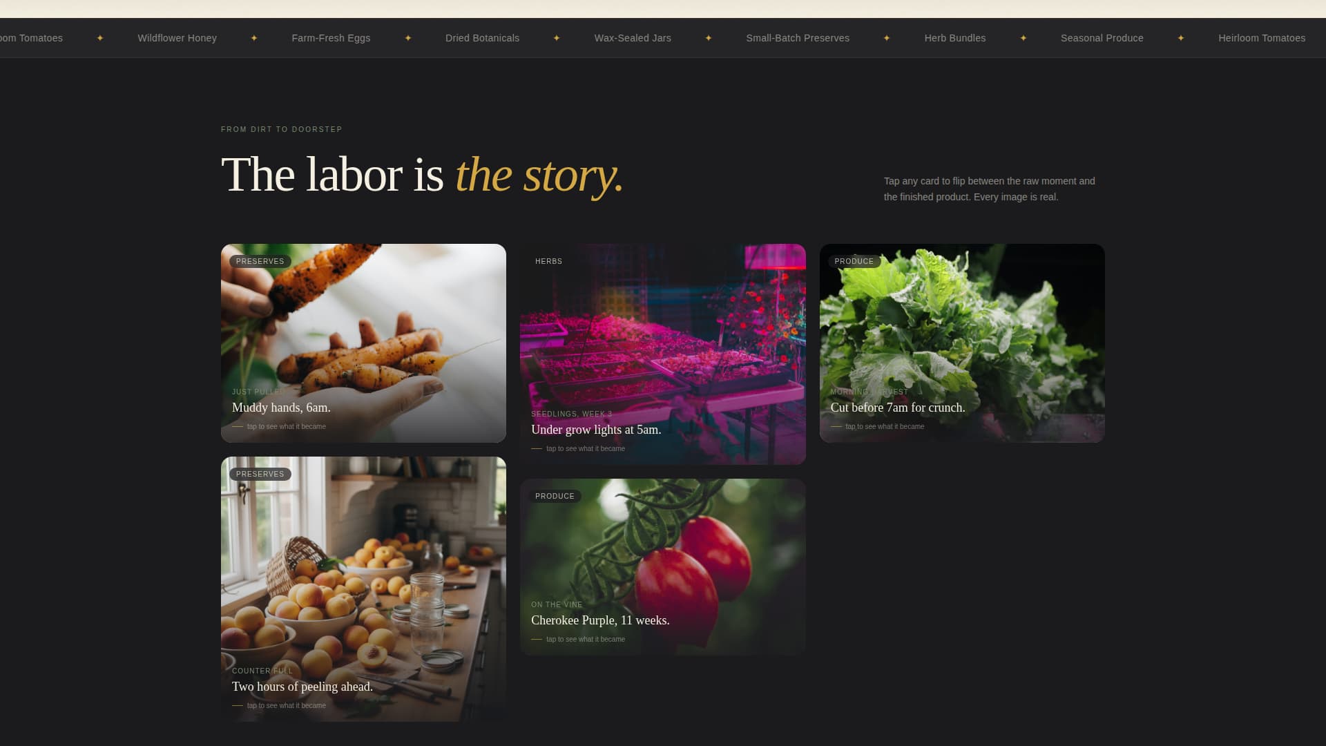 Seedling - Artisan Farmtodoor Landing Page Template