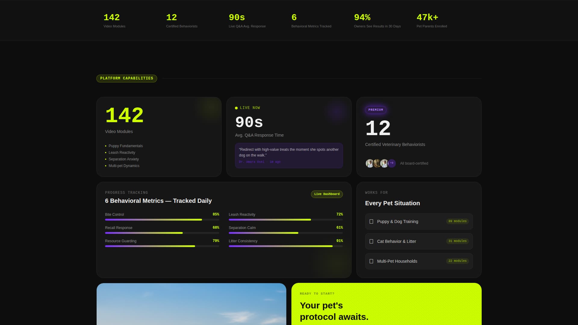 Pet Care Digital Presence Professional Website Template