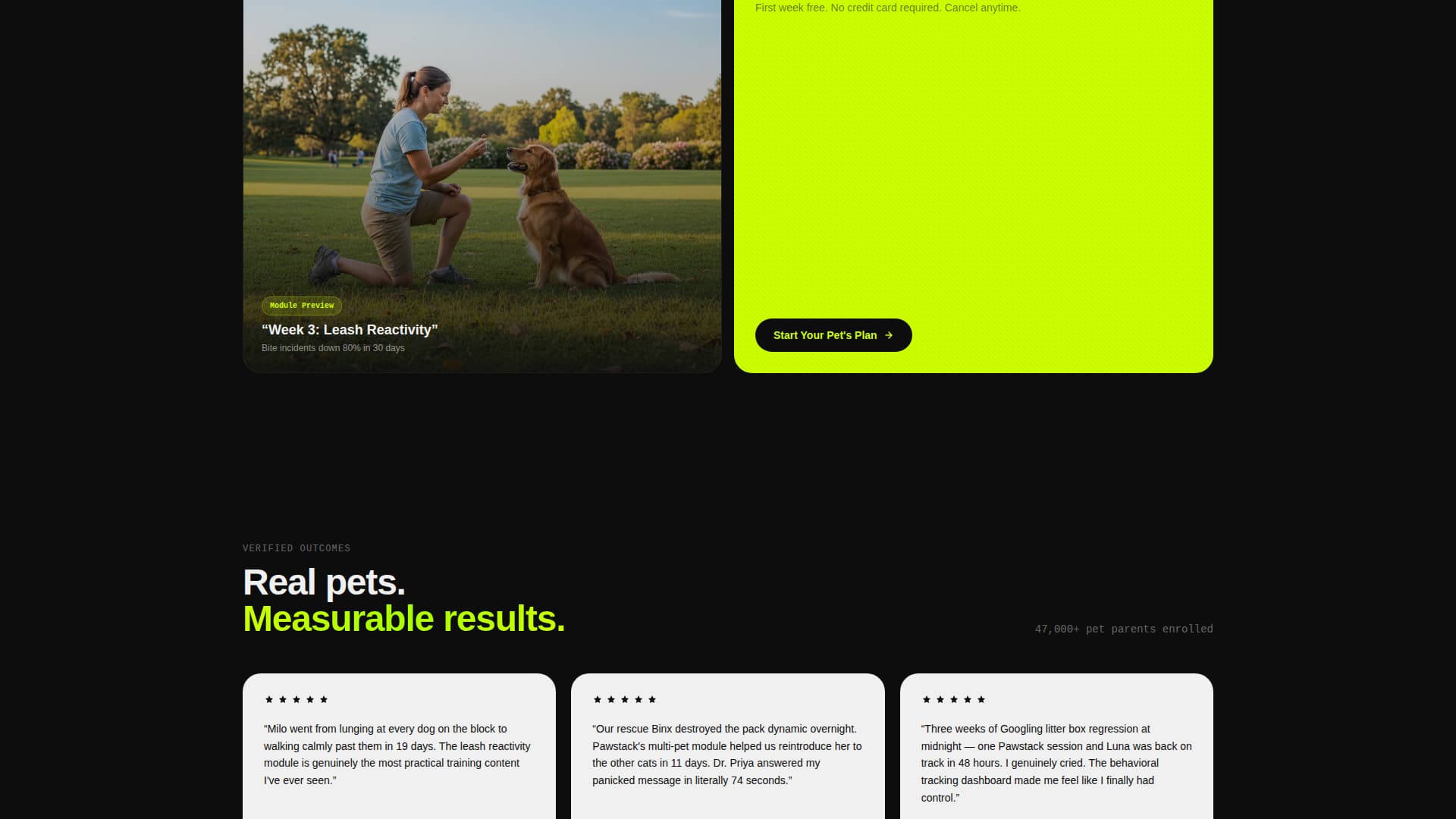 Pet Care Digital Presence Professional Website Template