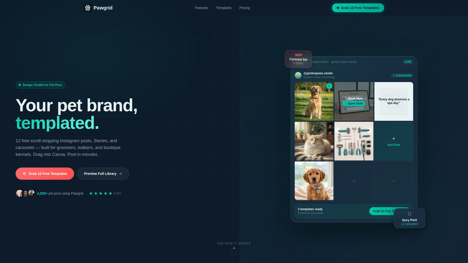 Specialist Pet Care Digital Presence Professional Website Template