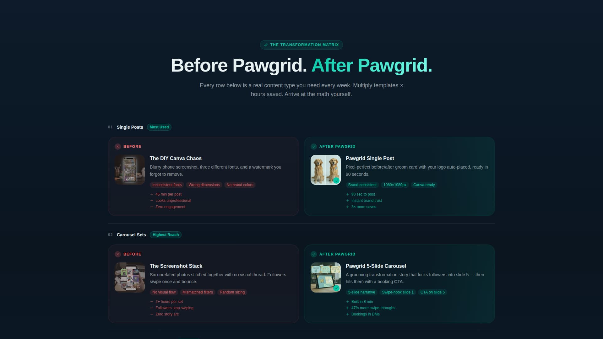 Specialist Pet Care Digital Presence Professional Website Template