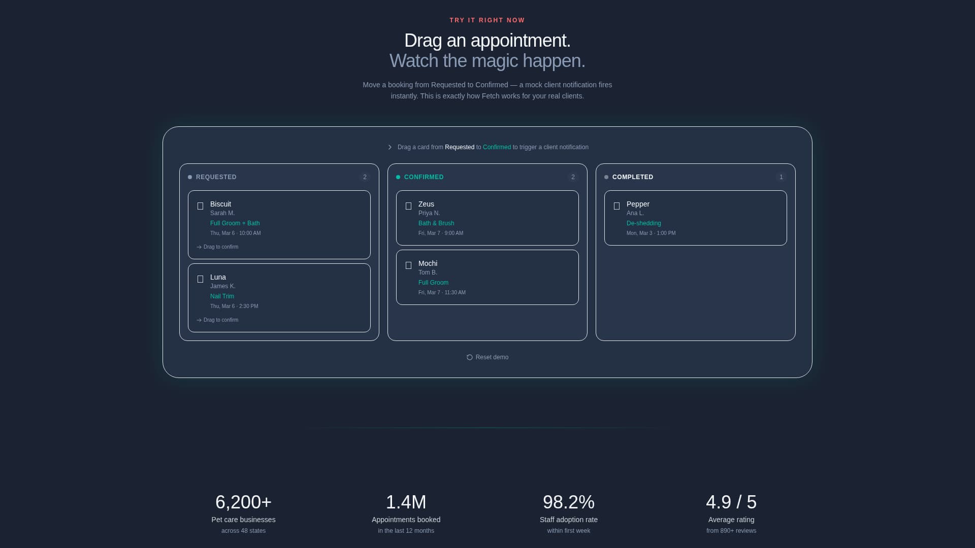 Advanced Pet Care Digital Presence Professional Website Template