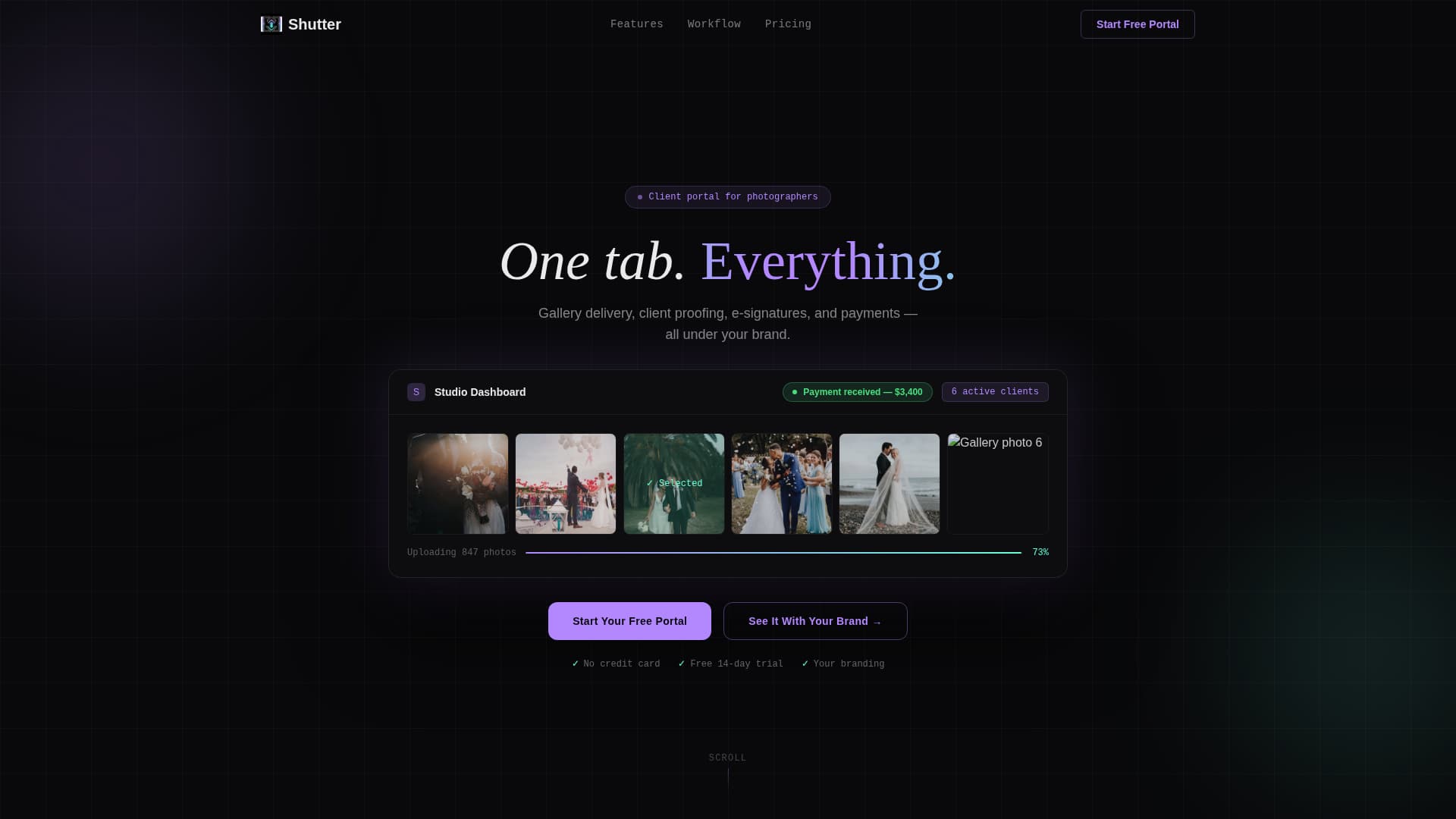 Specialist Photography Digital Presence Professional Website Template
