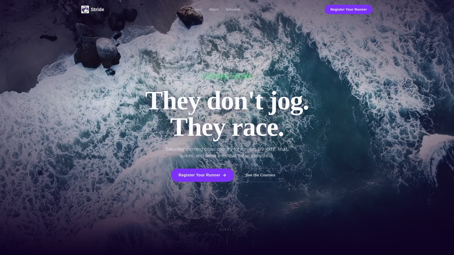 Cross Country Leagues Specialist Professional Website Template