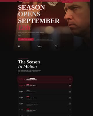 Specialist Darts Professional Website Template