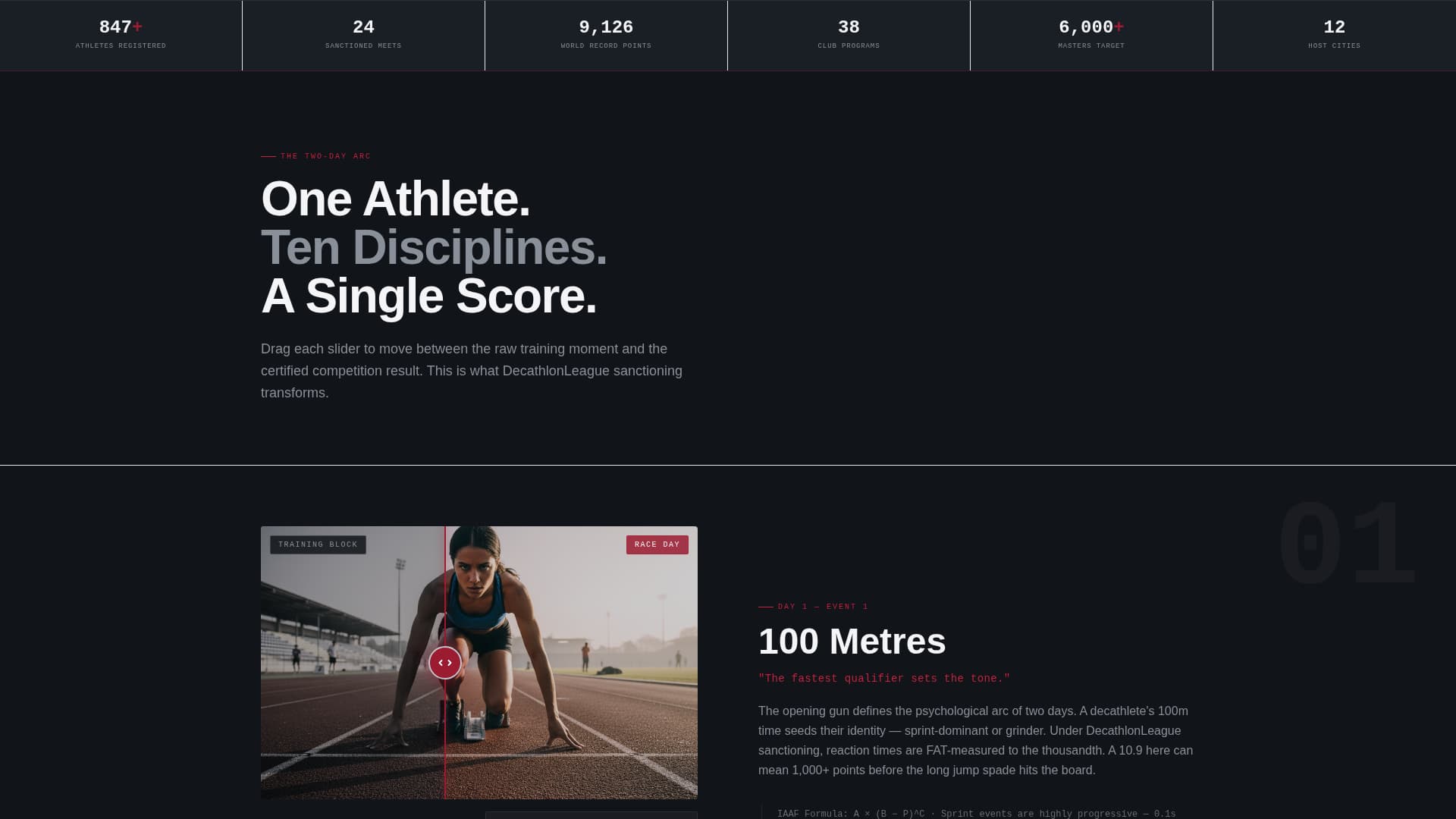 Decathlon Professional Website Template