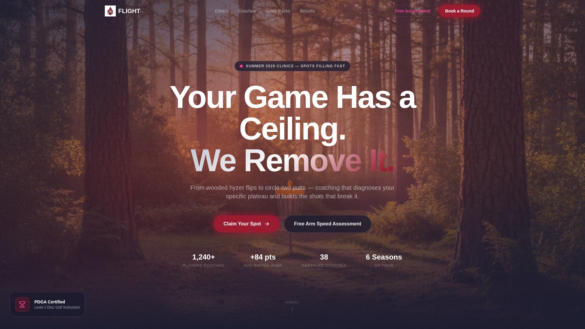 Basket — Dynamic Disc Golf Tournament Landing Page Template