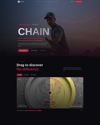Disc Golf Professional Website Template