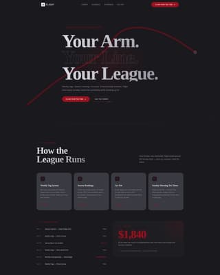 Disc Golf Specialist Professional Website Template