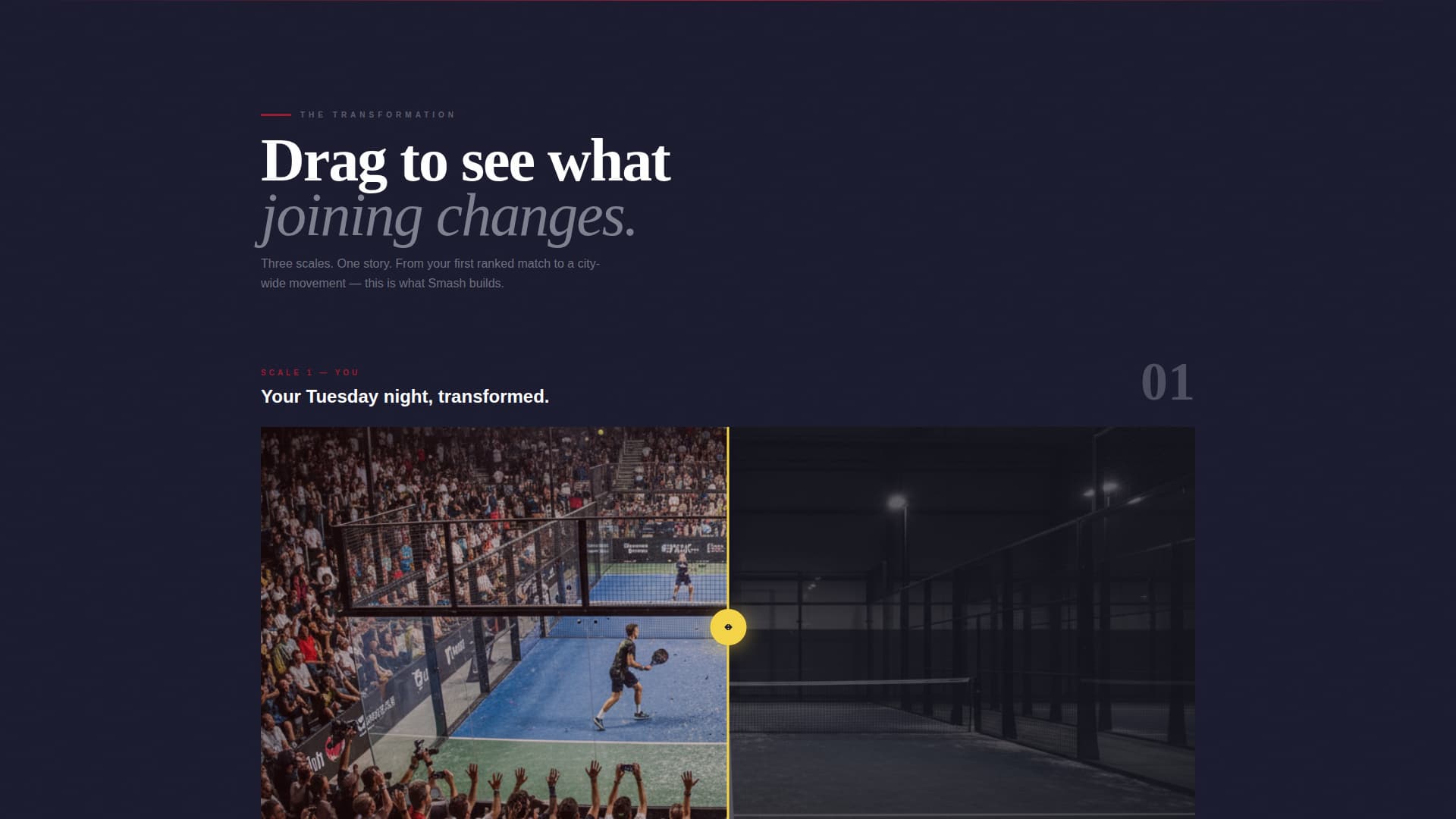 Padel Tennis Professional Website Template