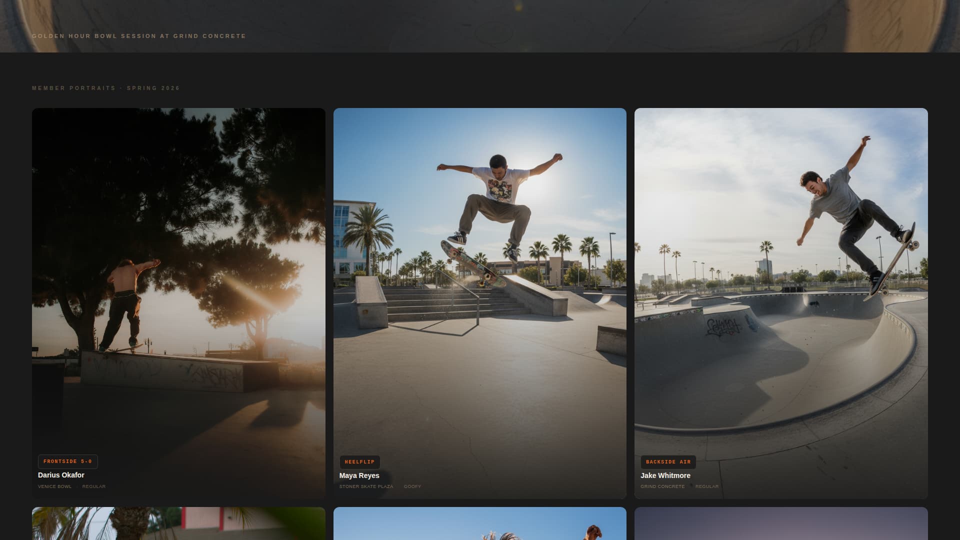 Specialist Skateboarding Appointment Booking Website Template