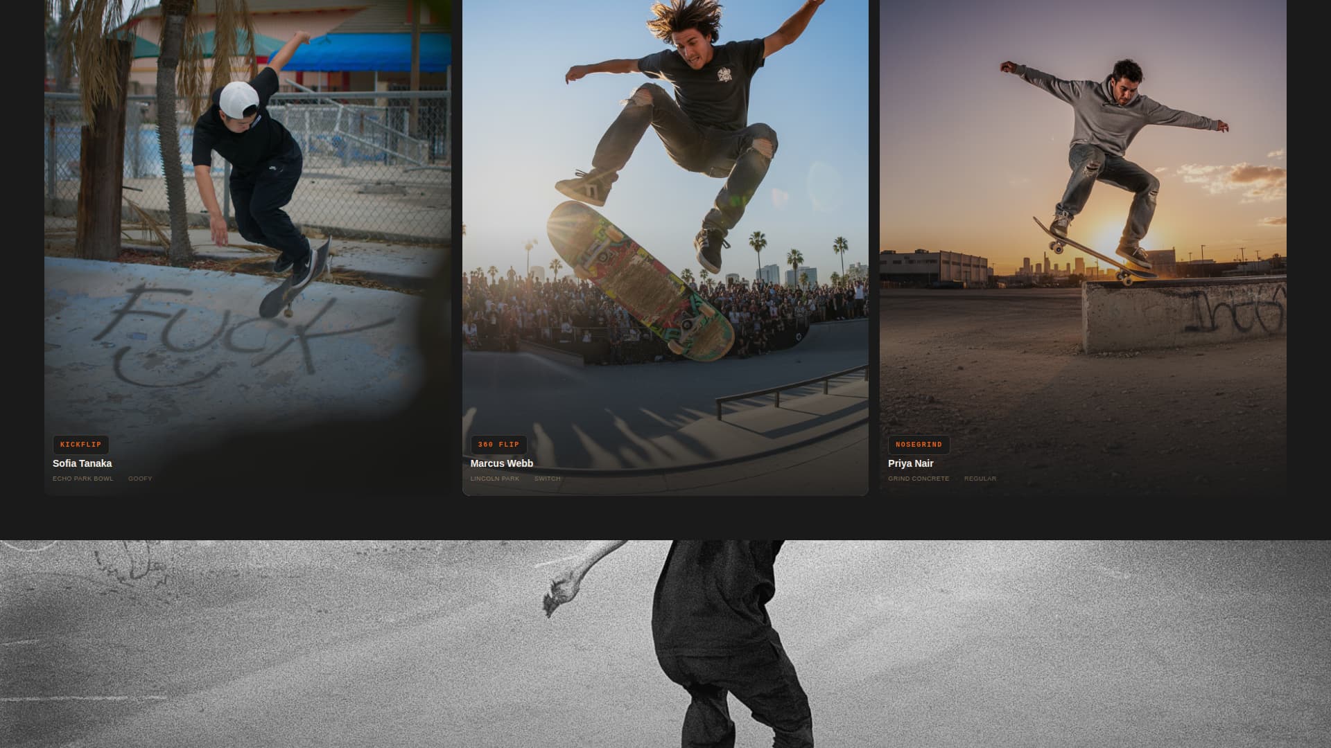 Specialist Skateboarding Appointment Booking Website Template