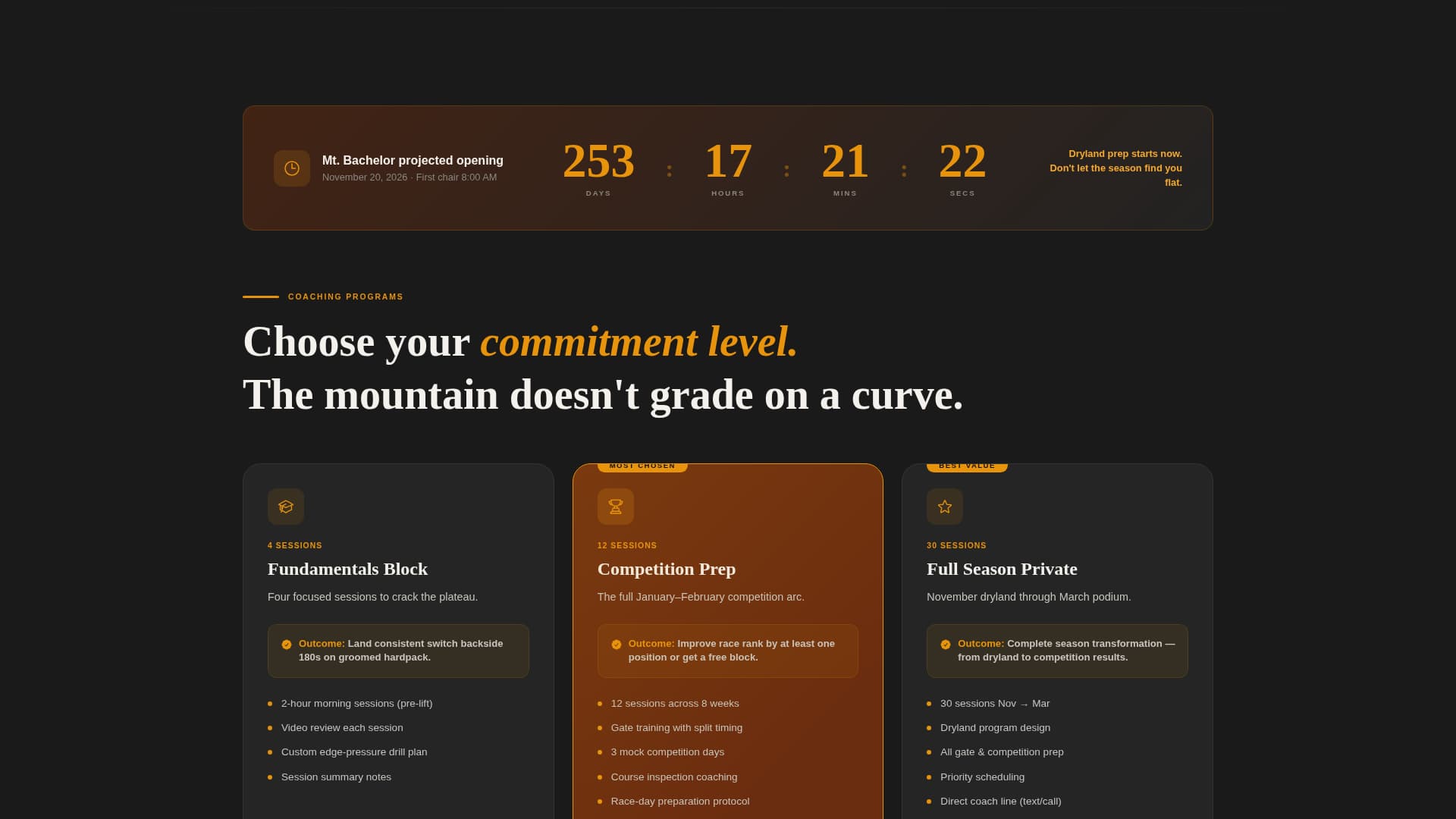 Carve - Elite Snowboarding Landing Page Template