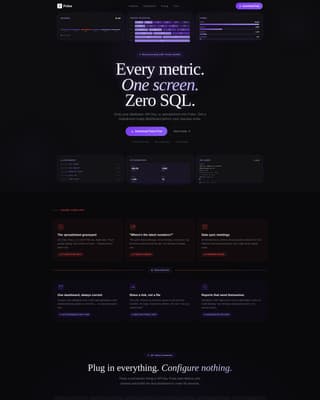 Micro-SaaS & Developer Tools Professional Website Template