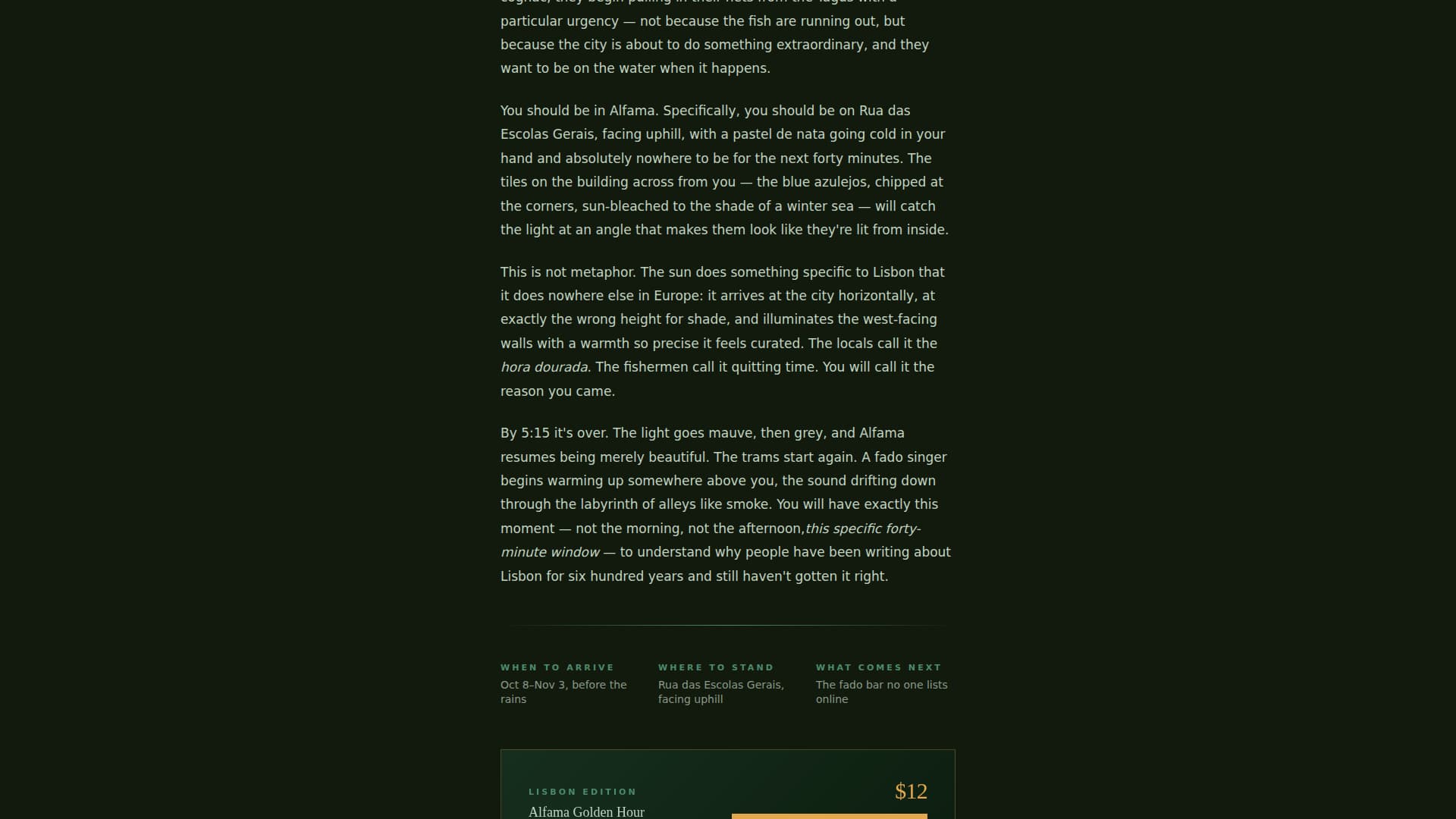 Wander - Immersive Destination Landing Page Template