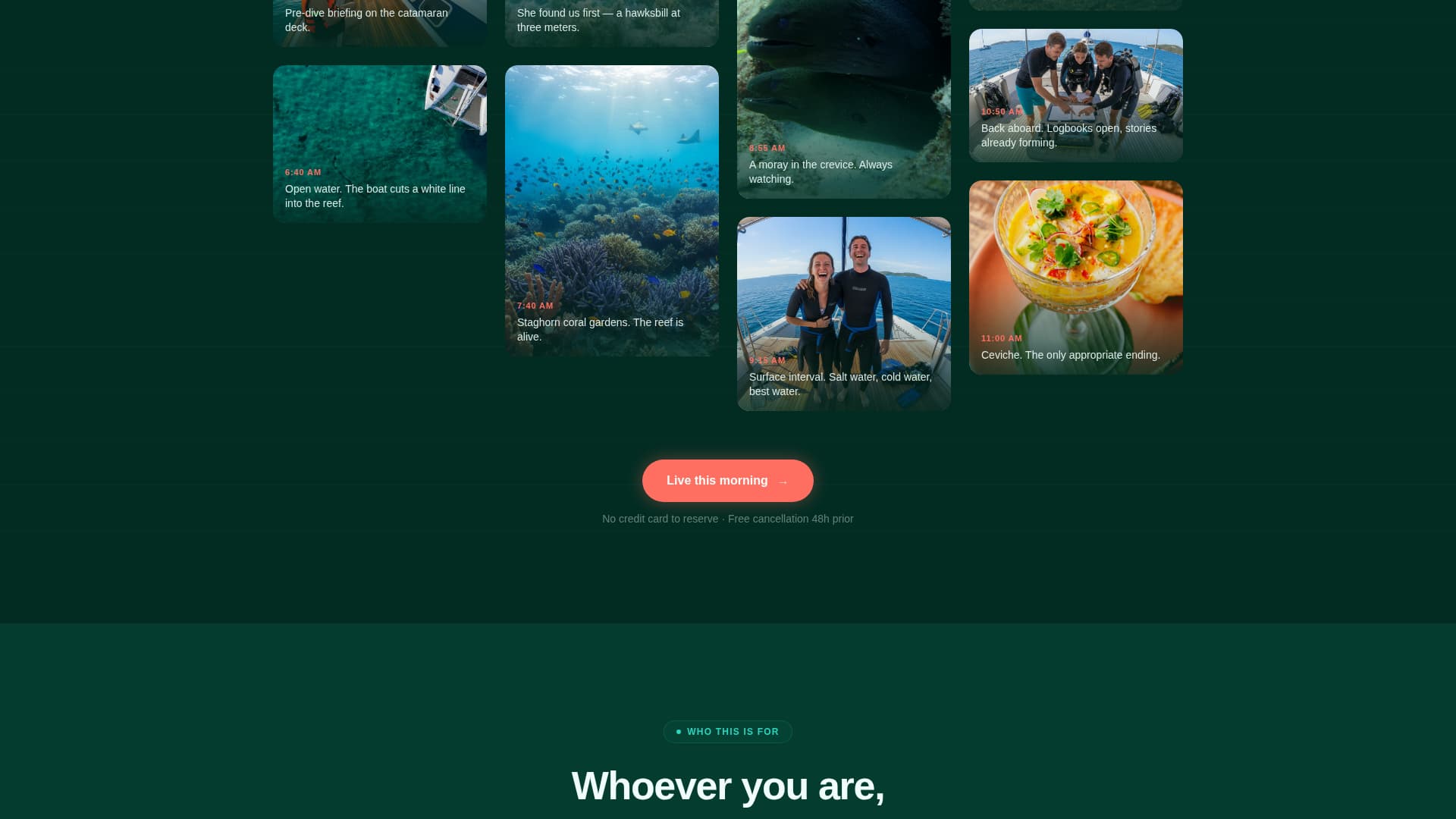 Caribbean Diving & Snorkelling Tour Operator Website Template