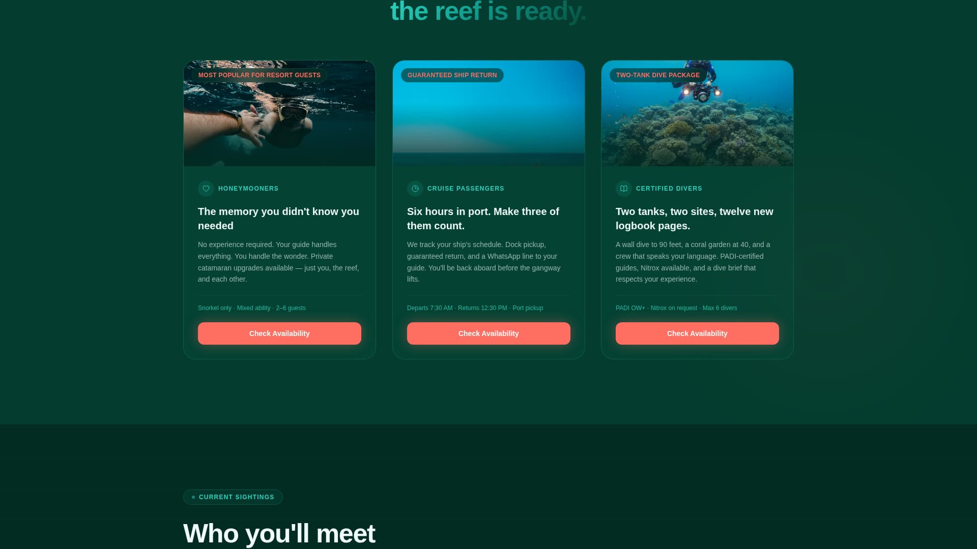 Caribbean Diving & Snorkelling Tour Operator Website Template