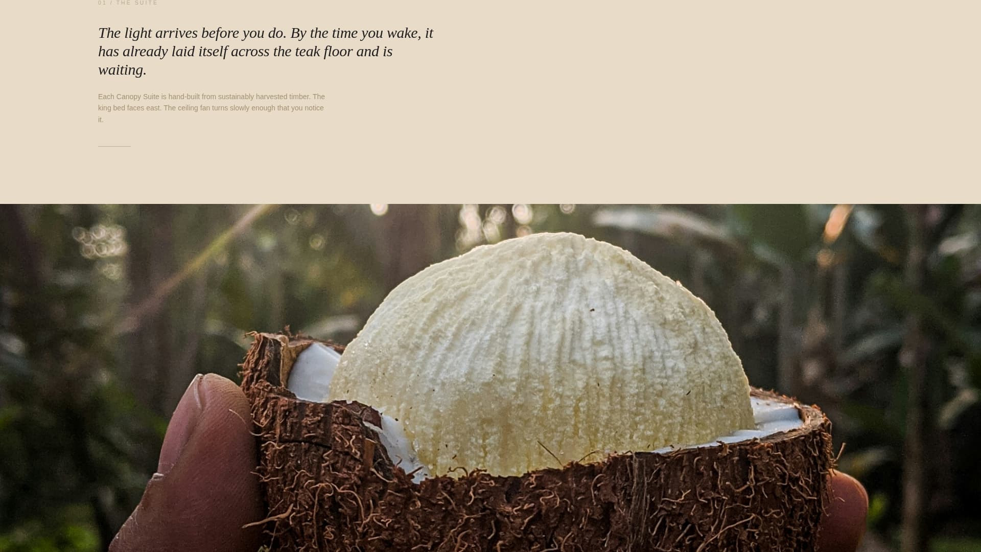 Eco Lodge & Nature Resort Gallery Walk Website Template